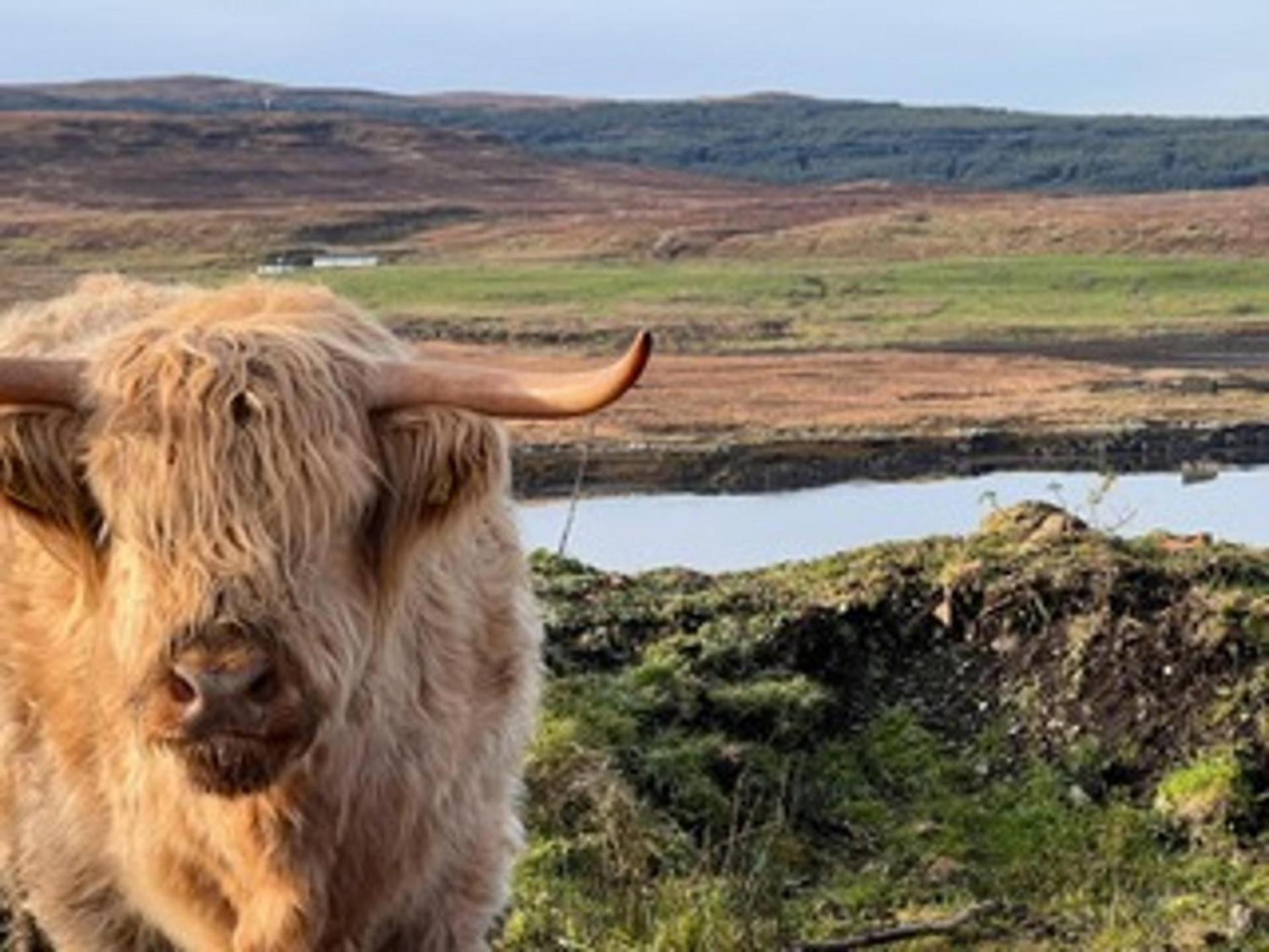 فيلا No 4 Old Post Office Row Isle Of Skye - Book Now! Eyre المظهر الخارجي الصورة